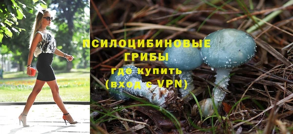 ALPHA-PVP Карталы